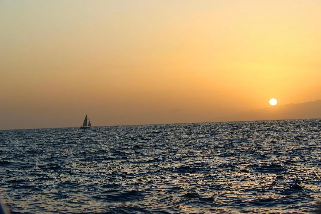 公寓 Garden City Premium - Full Seaview Playa Feñabe